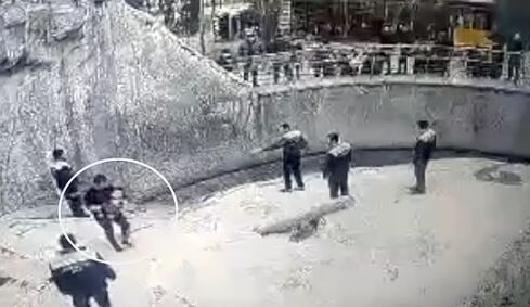 لحظه شوکه کننده پرت کردن دختر ۳ ساله به قفس خرس وحشی به دست مادرش/ مادر سنگدل خونسردانه نظاره گر ماجرا بود