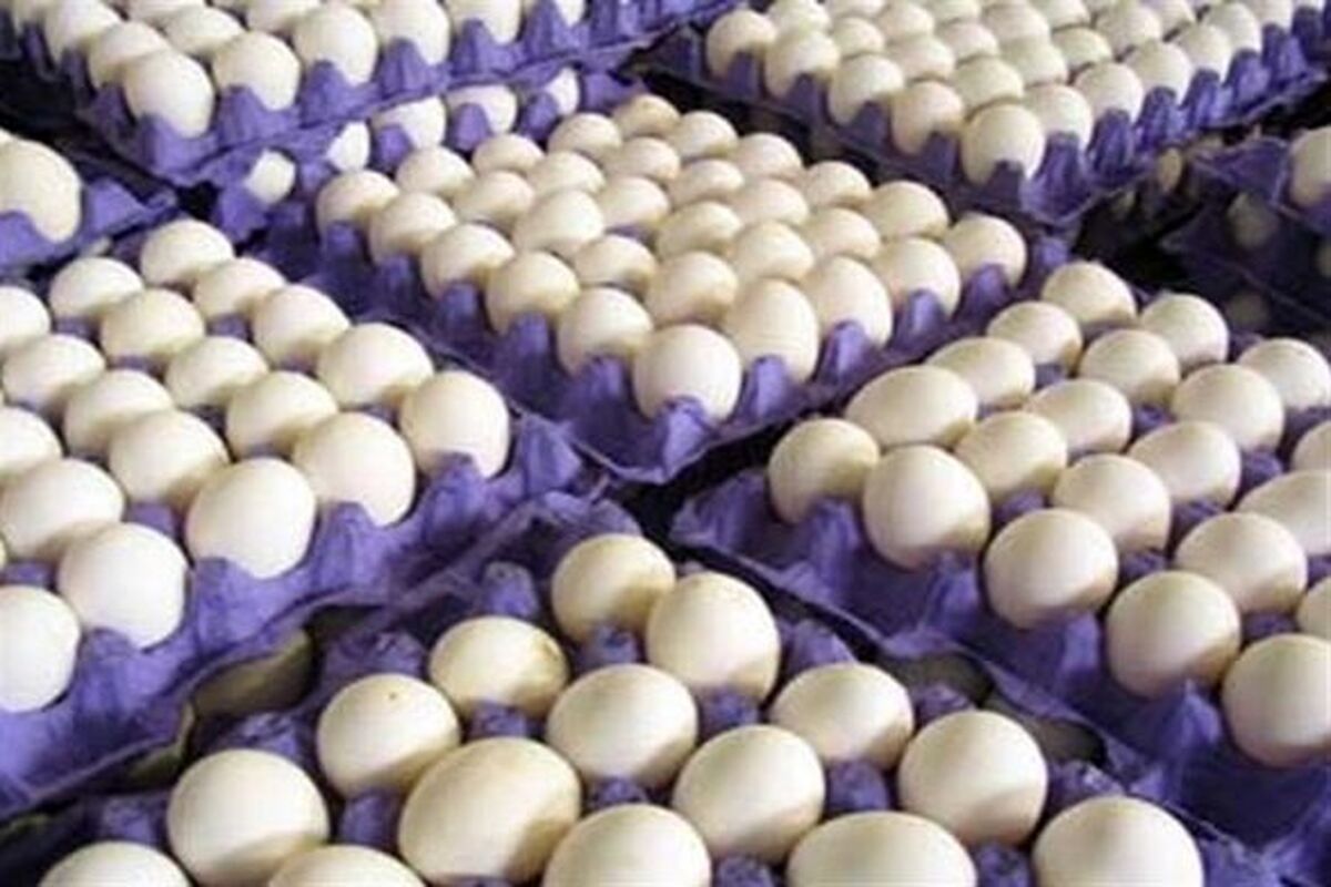 تخم مرغ شانه ای 100 هزار تومان شد + جدول