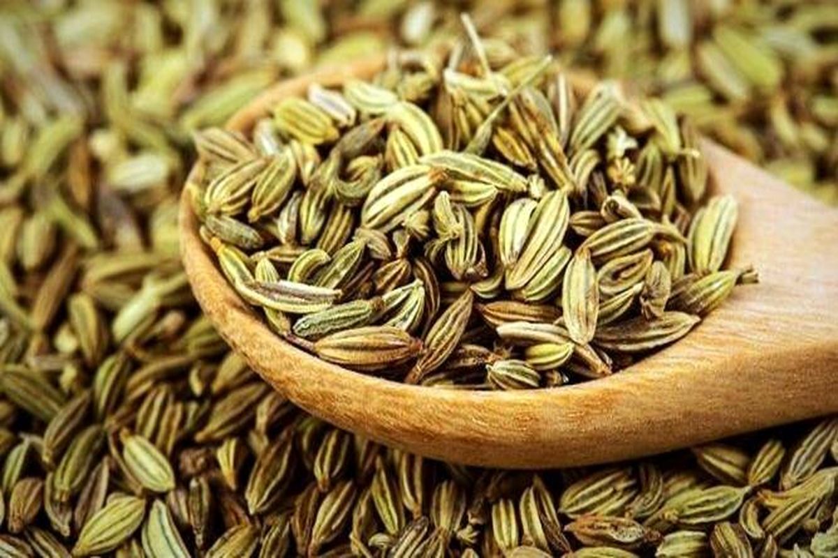 معرفی خواص فوقالعاده زیره