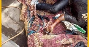 کشف جسد مردی پیچیده در فرش/ عکس ۱۸+