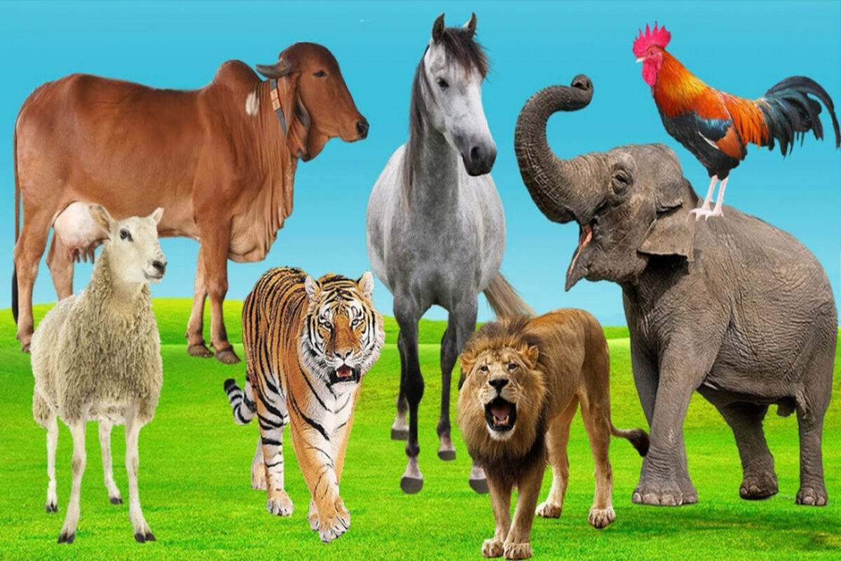 1 میلیون سال دیگر حیوانات کره زمین چه شکلی خواهند بود؟