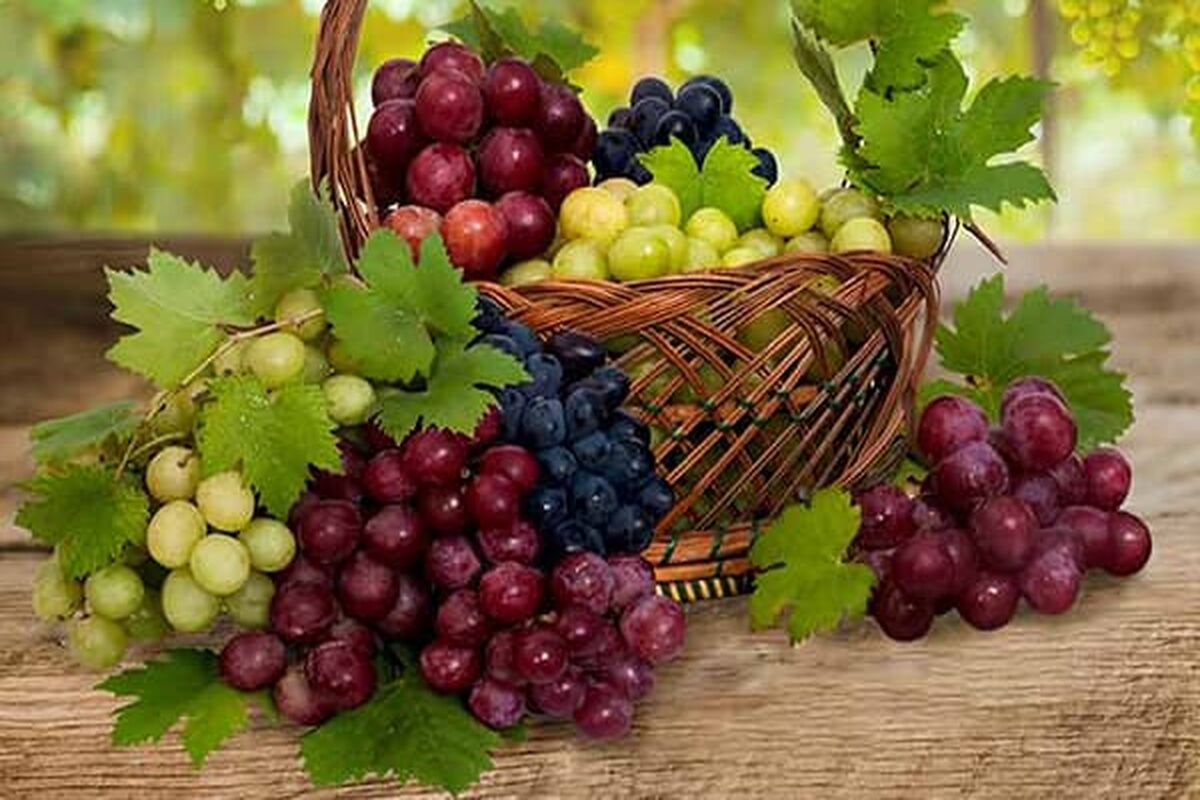 با این میوه به جنگ کلسترول و حمله قلبی بروید
