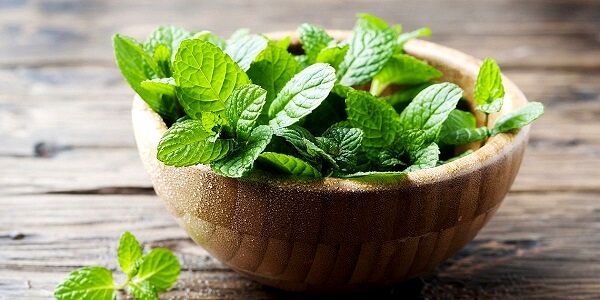 فواید بی‌نظیر گیاهان دارویی برای افراد