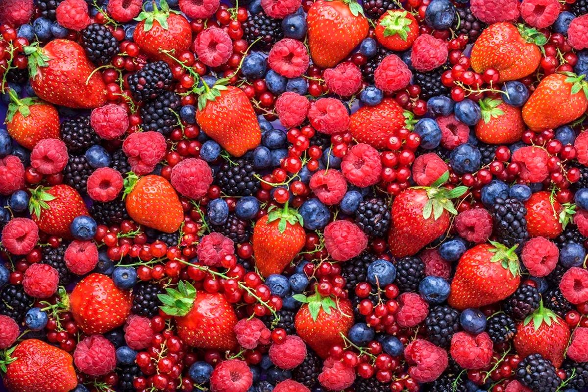 خواص توت‌ها در مقابله با پیری و سرطان را بشناسید