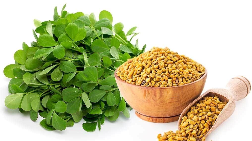فواید نوشیدن آب شنبلیله با معده خالی 