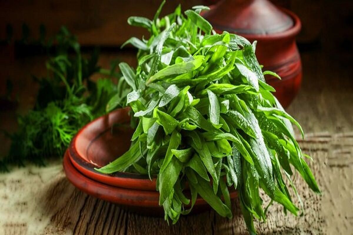 معرفی آنتی‌هیستامین‌های گیاهی 