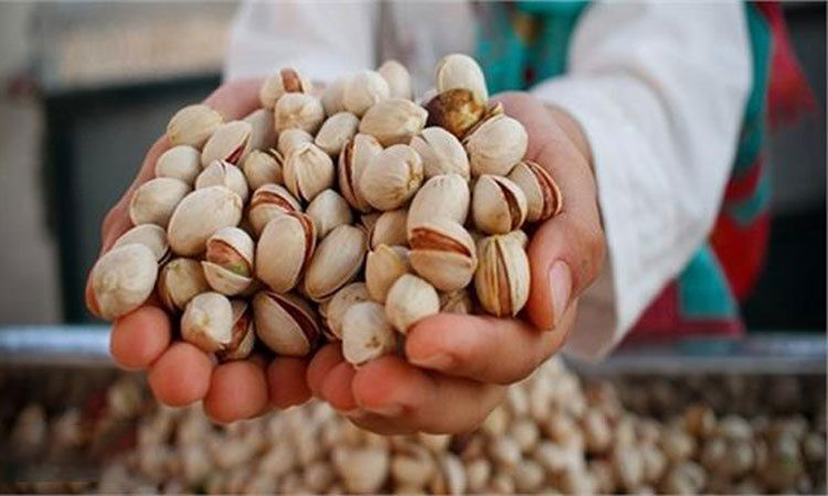 قیمت تخمه و پسته در شب عید چقدر شد؟