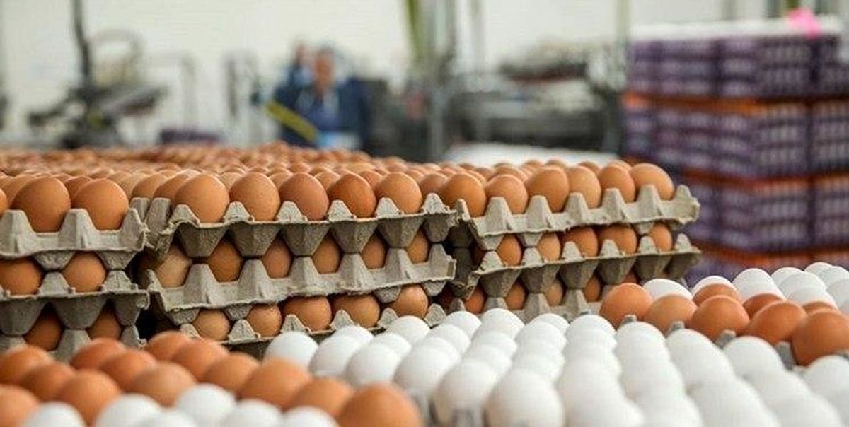 قیمت تخم مرغ در بازار چند؟ 
