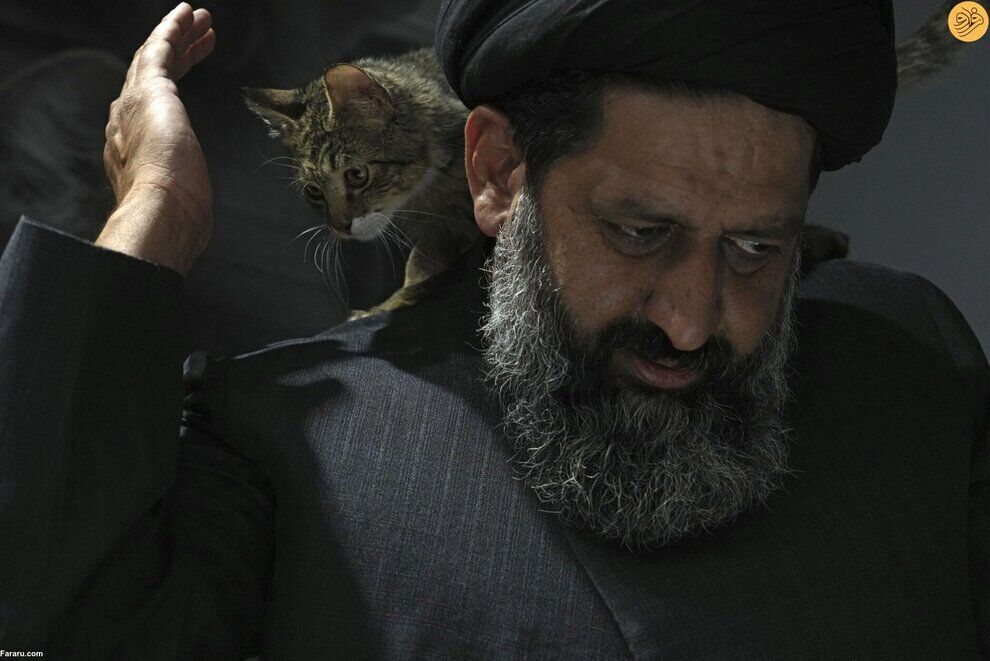 محبوبیت این روحانی در ایران، سوژه جهان شد | اقدام عجیب در نگهداری از سگ های ولگرد + عکس