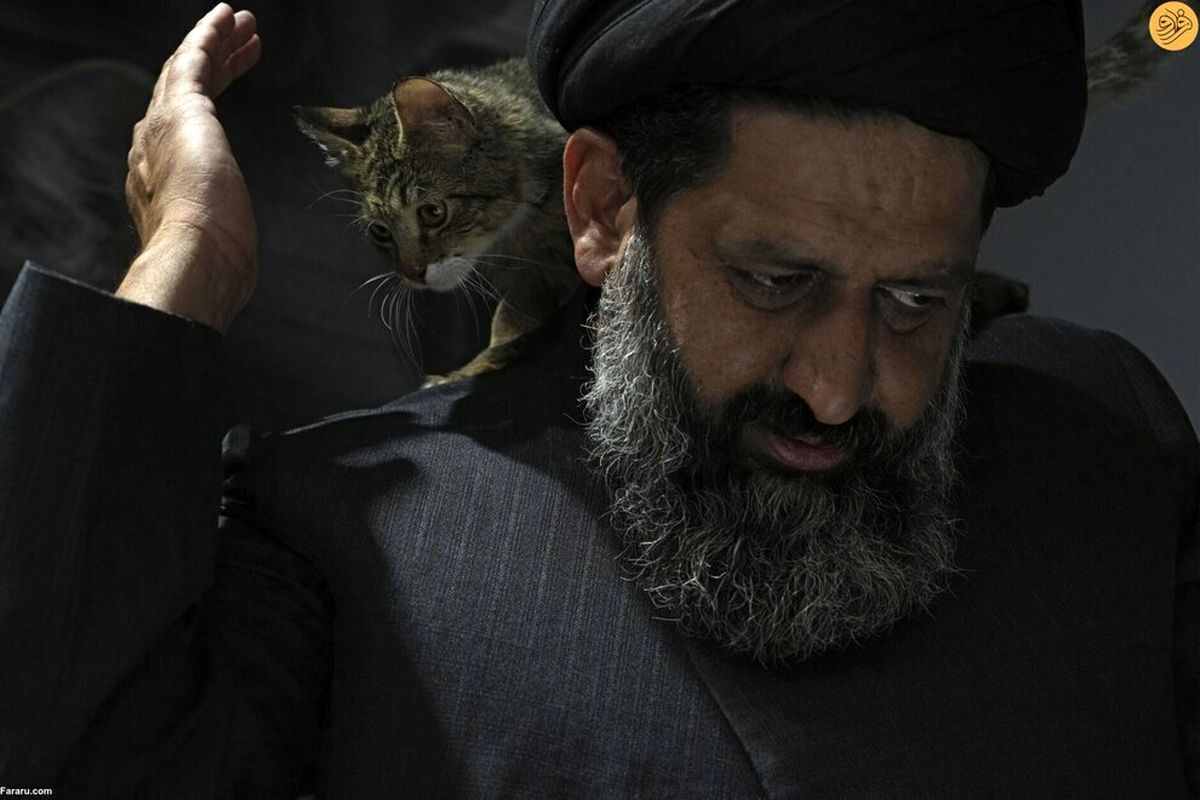 محبوبیت این روحانی در ایران، سوژه جهان شد | اقدام عجیب در نگهداری از سگ های ولگرد + عکس