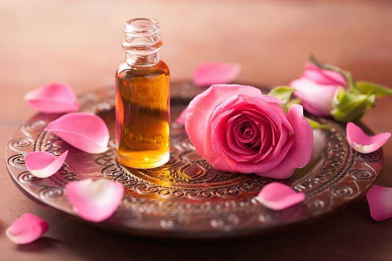 تاثیر شگفت‌ انگیز «بو» در به یاد آوردن خاطرات