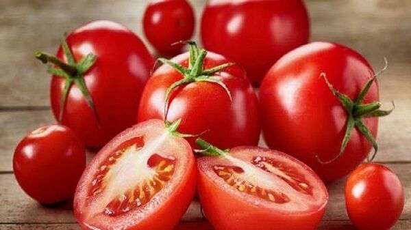 قیمت جدید گوجه و خیار در بازار