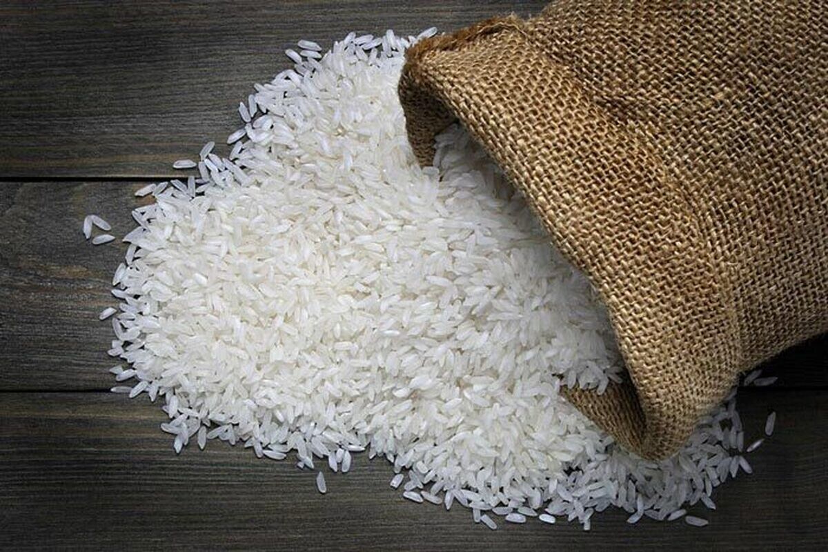 قیمت برنج پاکستانی هم کیلویی ۳۵۵ هزار تومان شد+عکس
