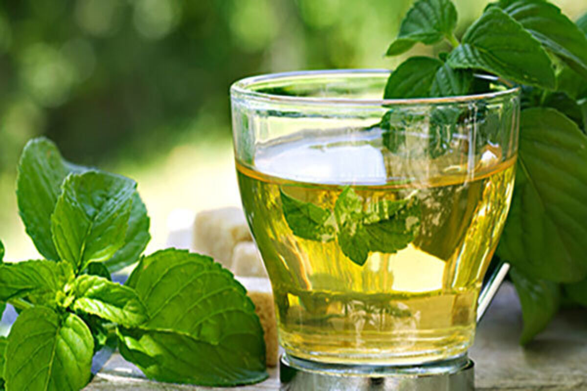 خواص جالب توجه عرق نعنا
