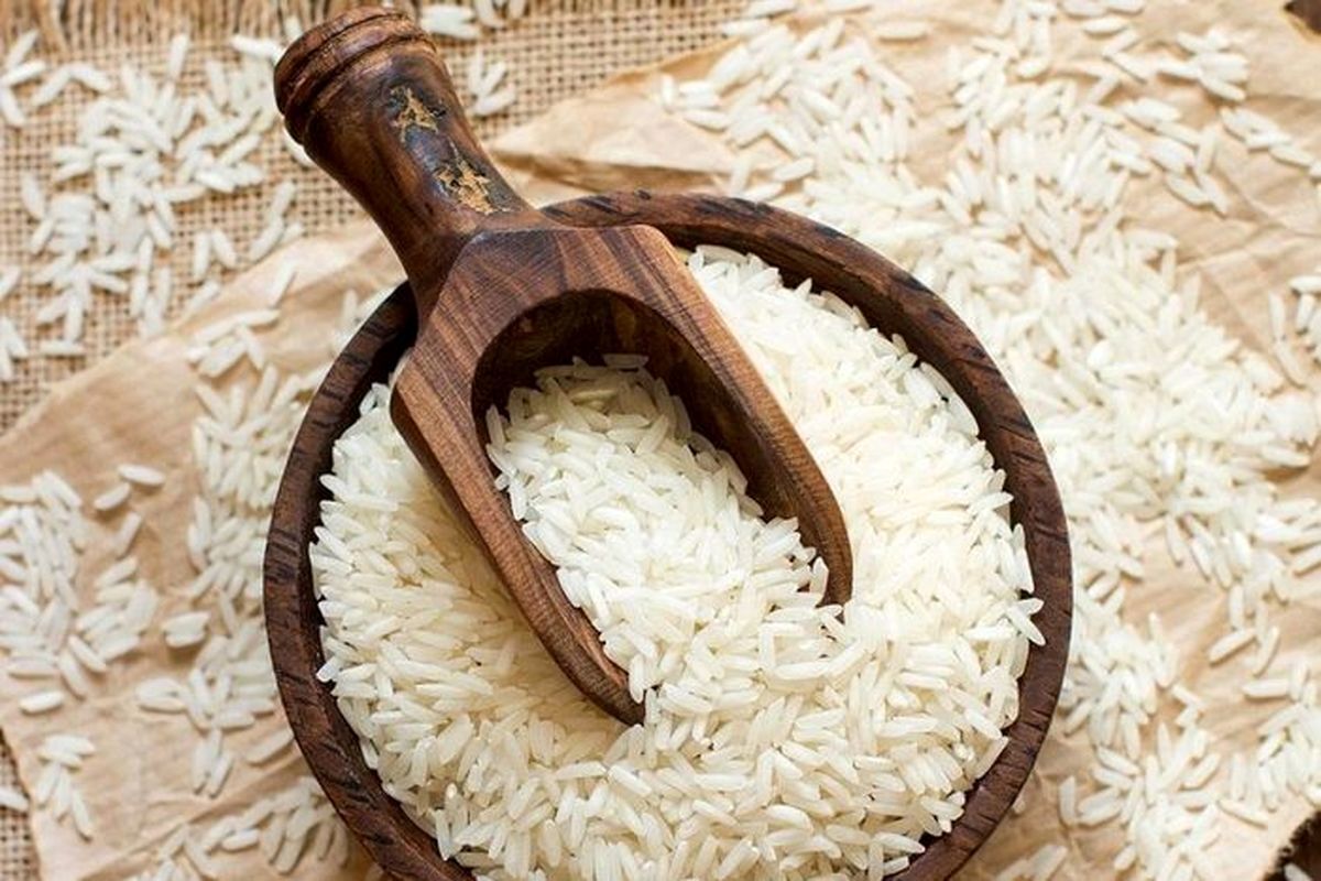 افزایش بی سابقه برنج ایرانی | برنج ایرانی چقدر گران شد؟