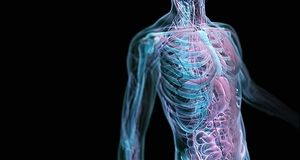 دلایل مهم سیستم ایمنی ضعیف بدن را بشناسید