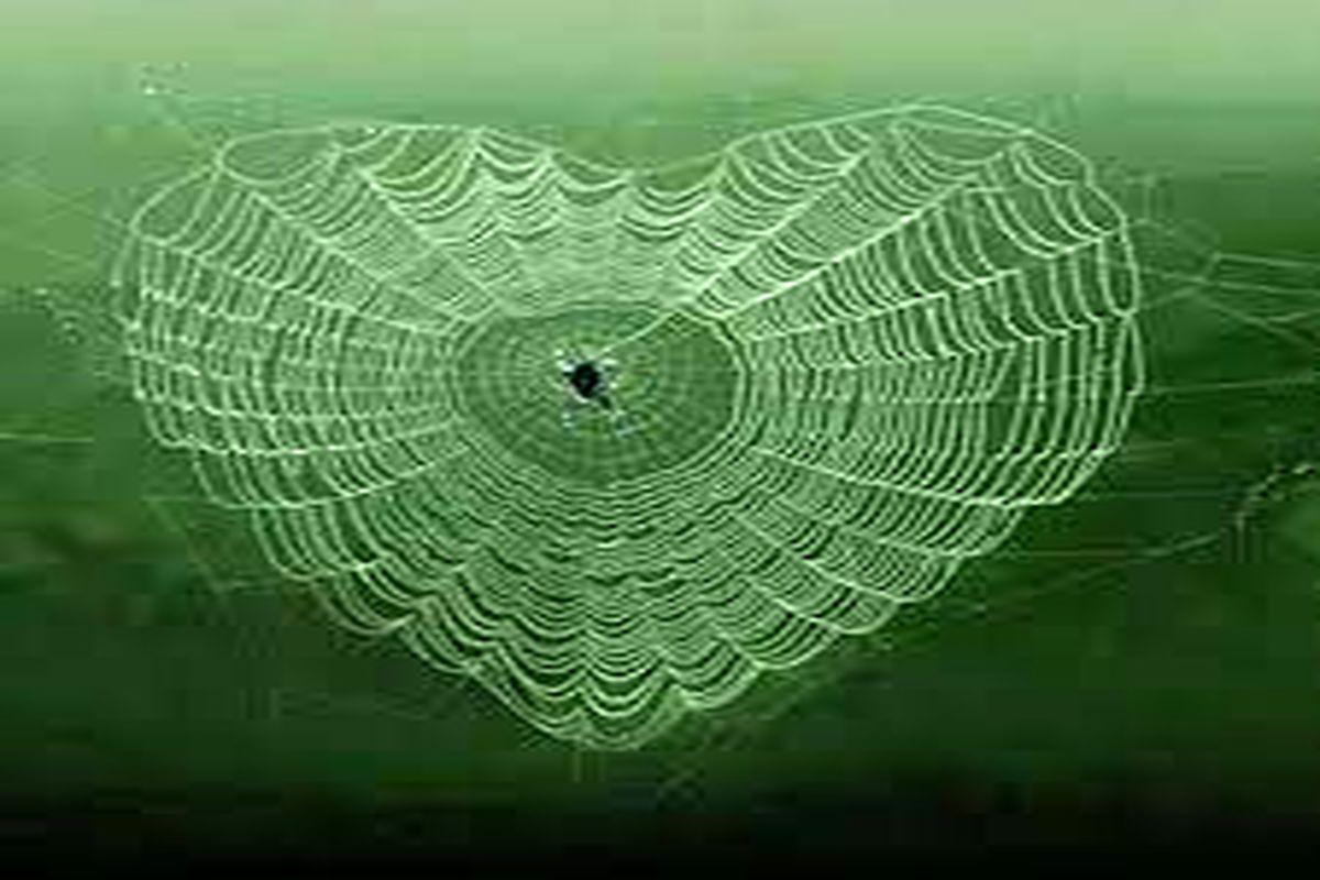 انتشار عکس هم آغوشی خانم بازیگر با همسرش جنجال به پا کرد!+عکس