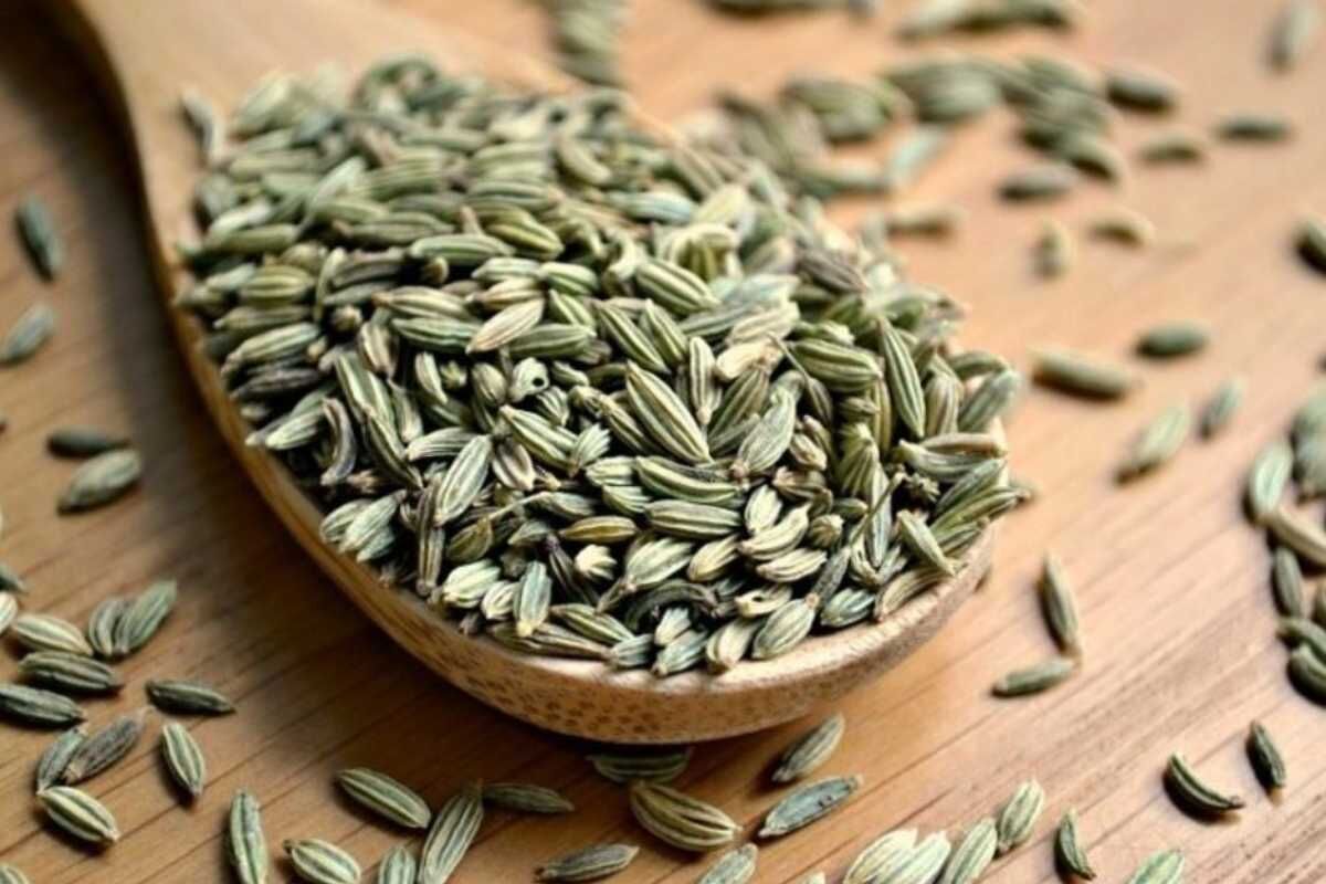 مهم‌ترین گیاه دارویی را بشناسید