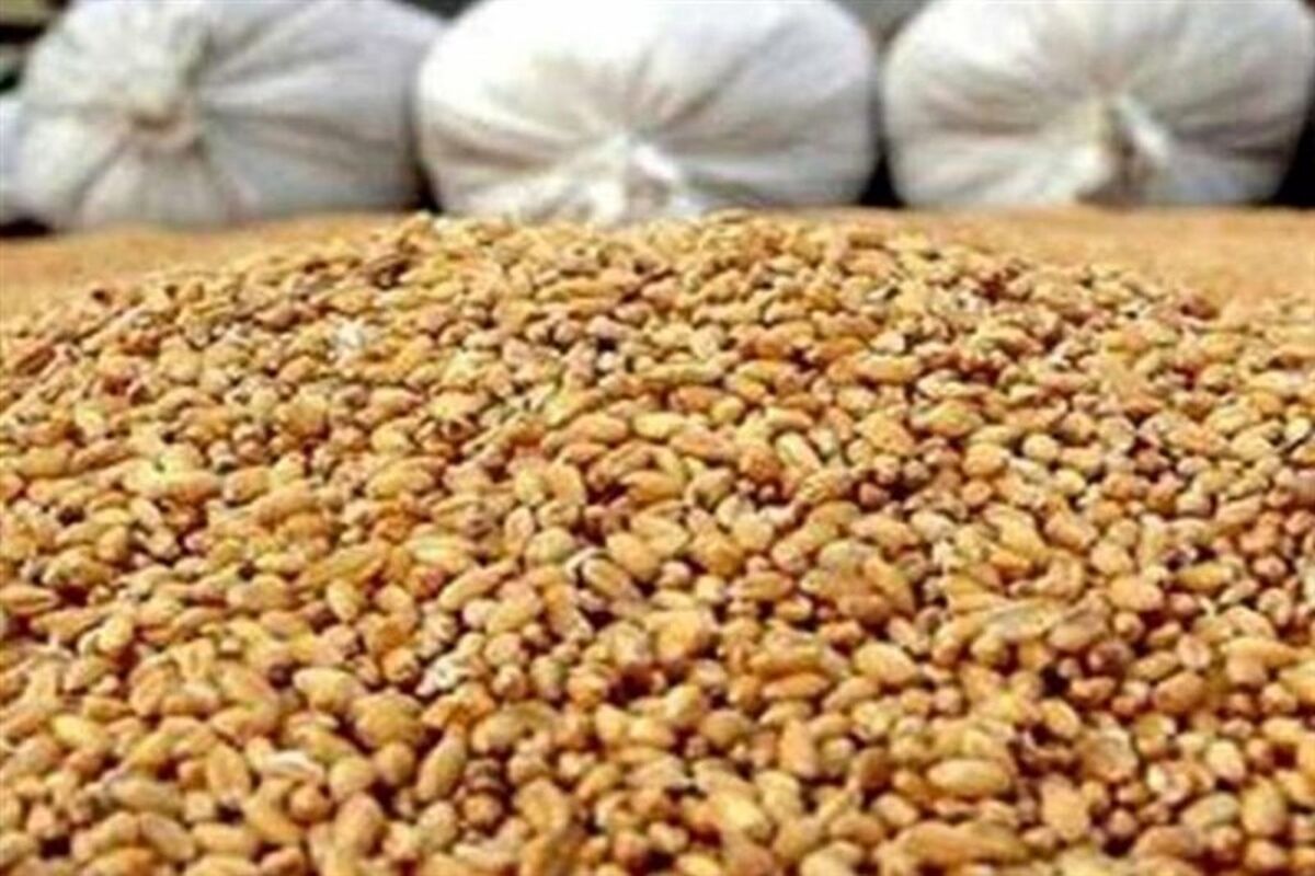 احتمال واردات و صادرات نهاده‌ها و خوراک دام و طیور با ارز آزاد