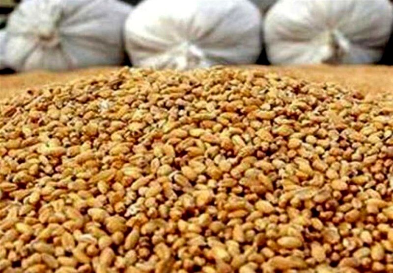 احتمال واردات و صادرات نهاده‌ها و خوراک دام و طیور با ارز آزاد