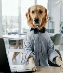 ​کشف ژن‌های مشترک میان سگ و انسان