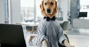 ​کشف ژن‌های مشترک میان سگ و انسان