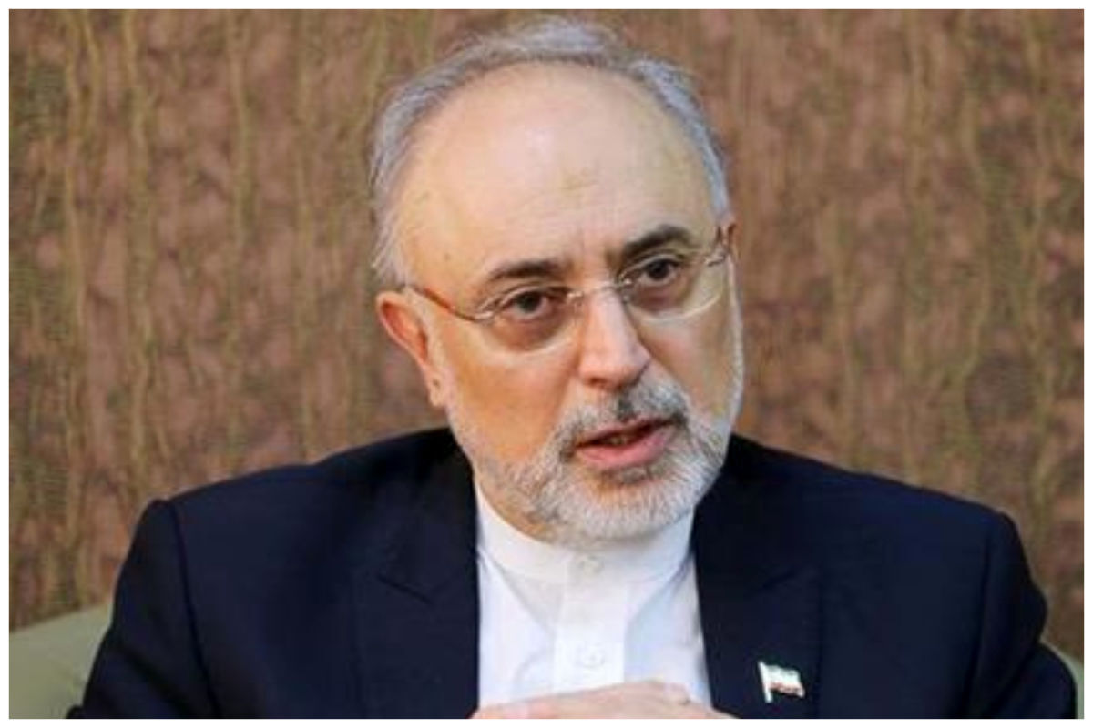علی اکبر صالحی: در برجام از بُعد فنی چیزی از دست ندادیم
