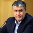 اسلامی: برای حضور در کنفرانس وین قطعنامه صادر کردیم