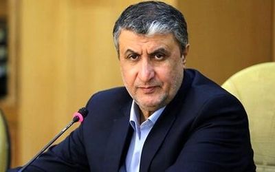 اسلامی: برای حضور در کنفرانس وین قطعنامه صادر کردیم
