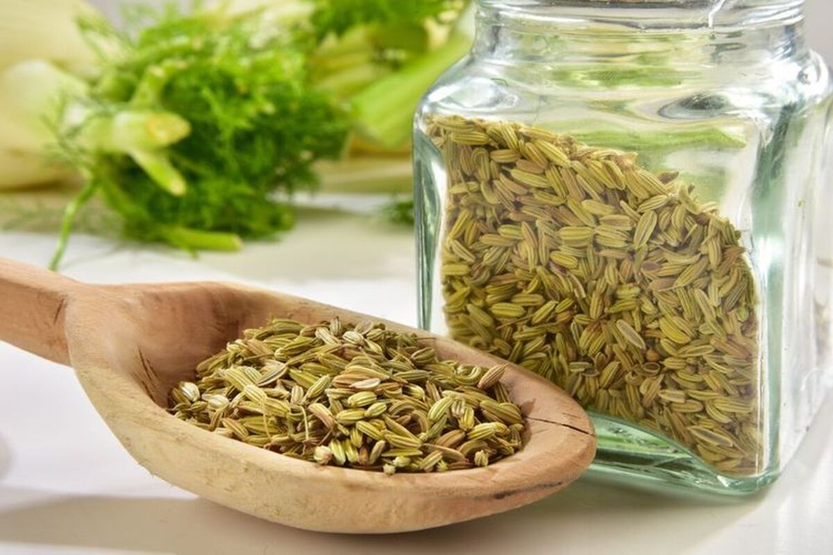 آشنایی با موارد مصرف گیاه رازیانه در داروسازی