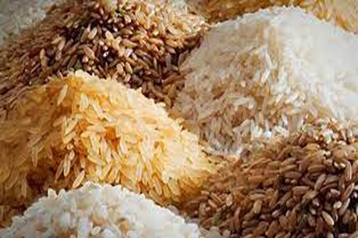 قیمت جدید برنج ایرانی در میادین تره‌بار