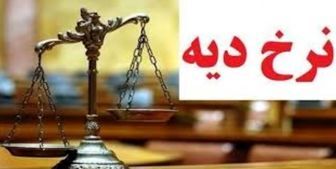 دیه شکستگی و بریدن بینی چقدر است؟