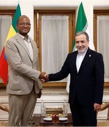 دیدار رئیس مجلس نمایندگان اتیوپی با عراقچی