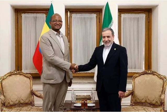 دیدار رئیس مجلس نمایندگان اتیوپی با عراقچی