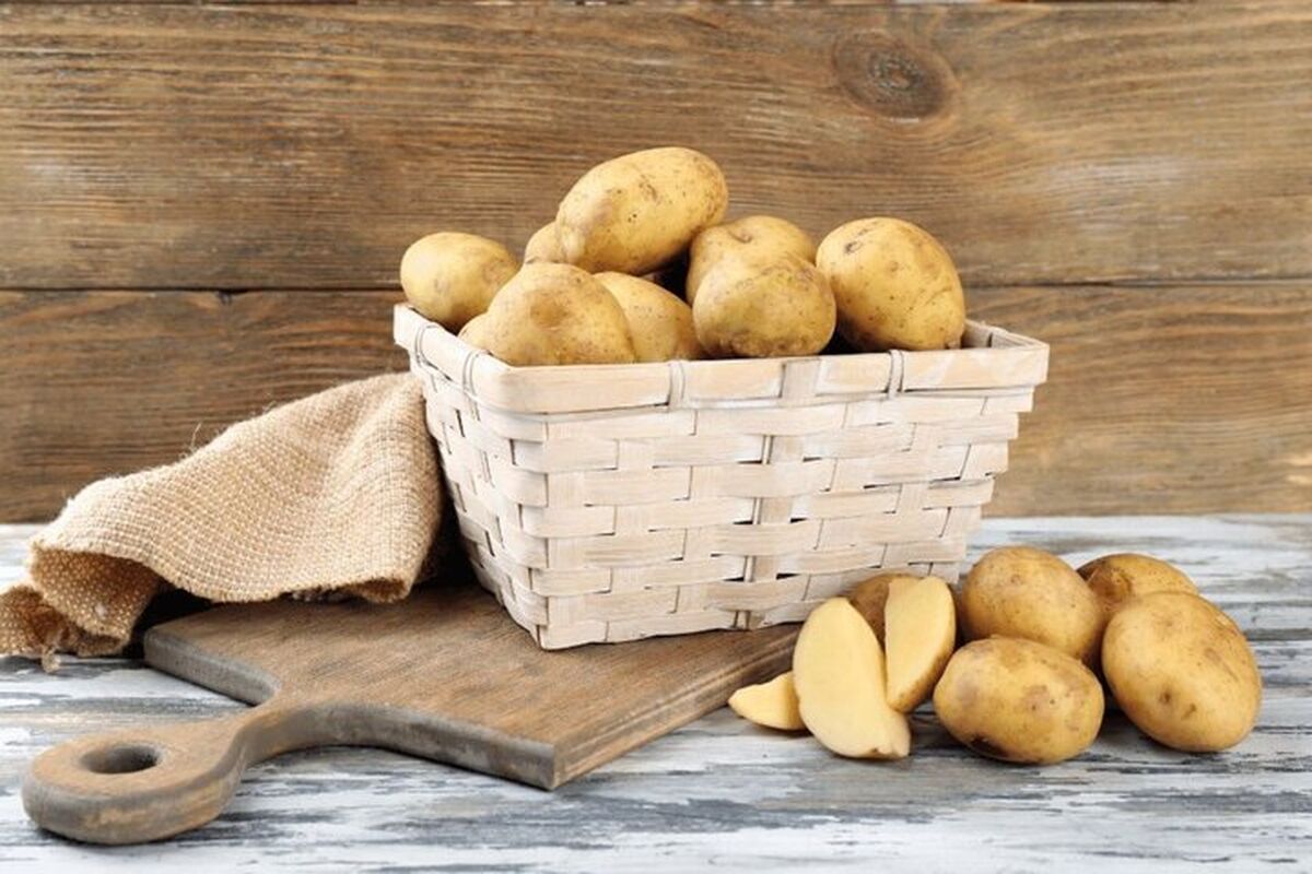 قیمت سیب زمینی کاهشی شد