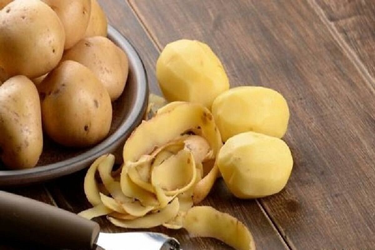 سیب زمینی ارزان شد