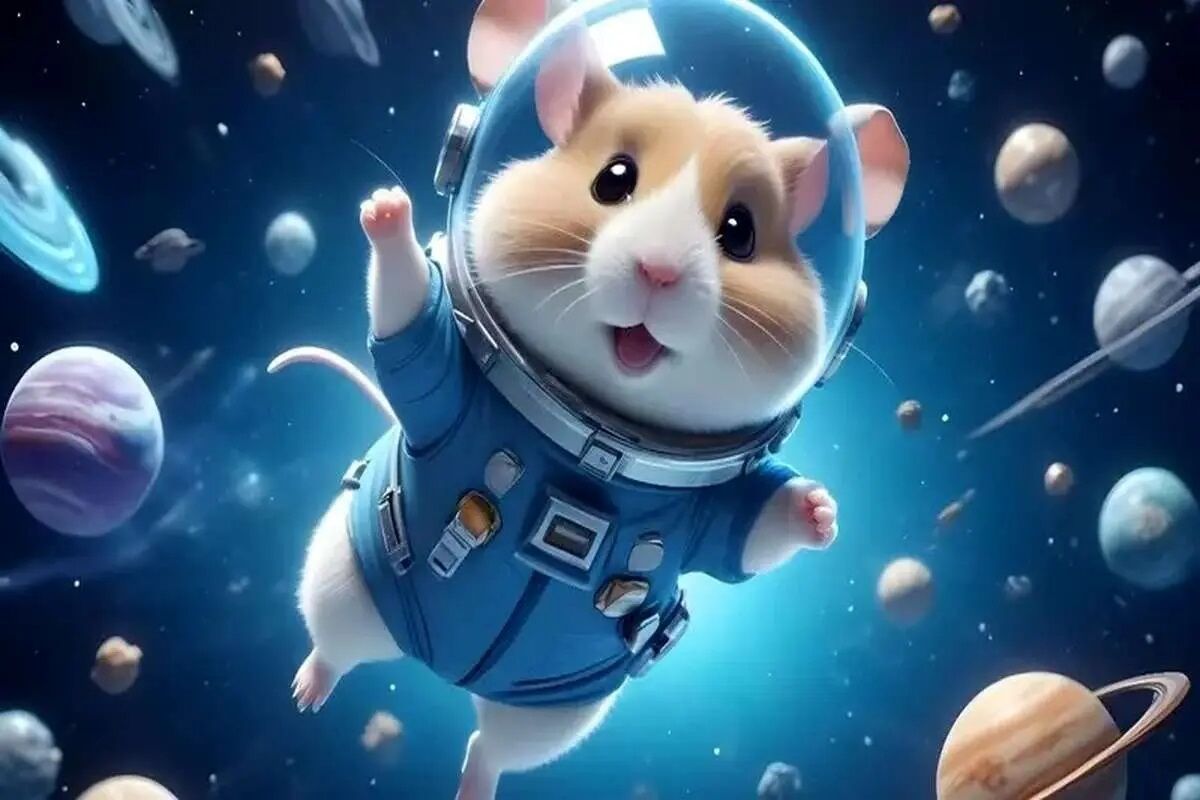 این صرافی‌ها توکن همستر کامبت را لیست می‌کنند