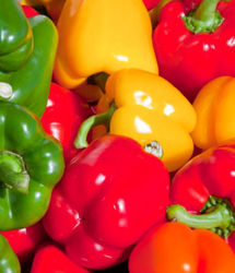 فلفل دلمه ای نزدیک ۳۰۰ هزار تومان شد و خیار از ۹۰ هزار تومان گذشت