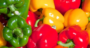 فلفل دلمه ای نزدیک ۳۰۰ هزار تومان شد و خیار از ۹۰ هزار تومان گذشت