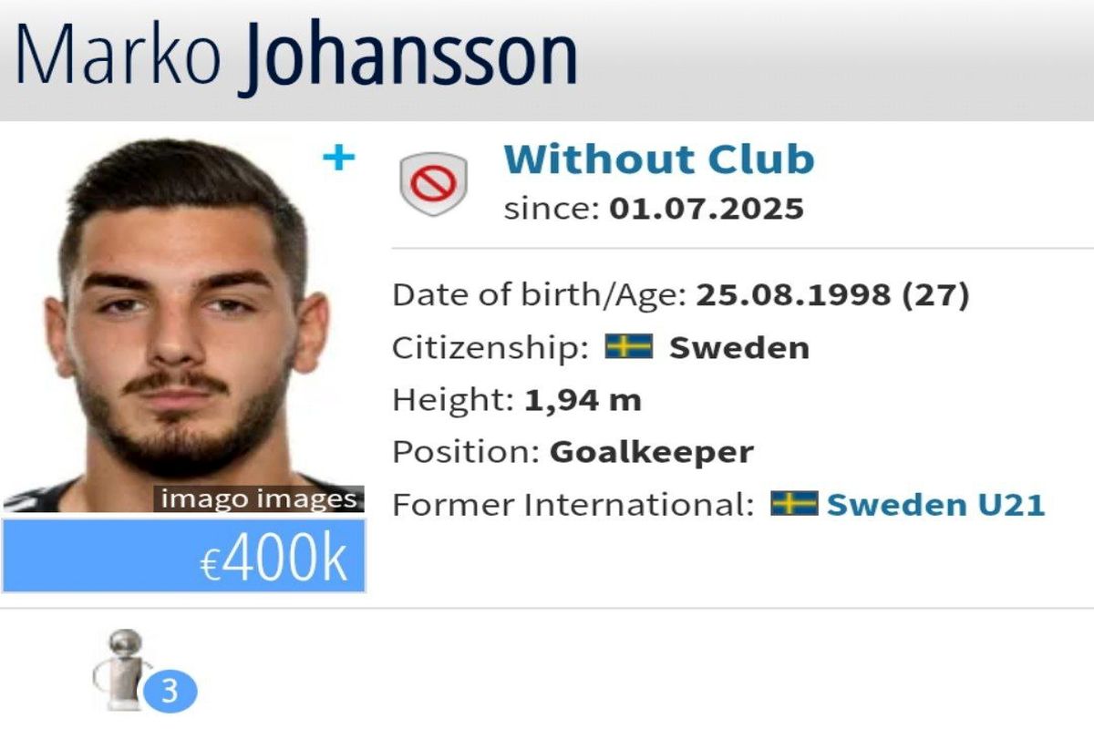 دروازه‌بان هامبورگ، جانشین بیرانوند شد