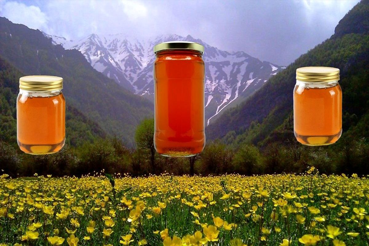 بهترین عسل ایران از چه گیاهی است و مال کجاست؟