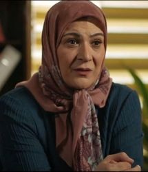 ریما رامین‌فر از سریال پایتخت کناره‌گیری کرد