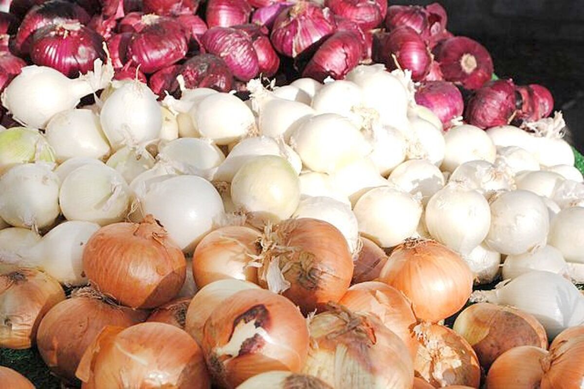 فواید جالب و فراوان پوست پیاز