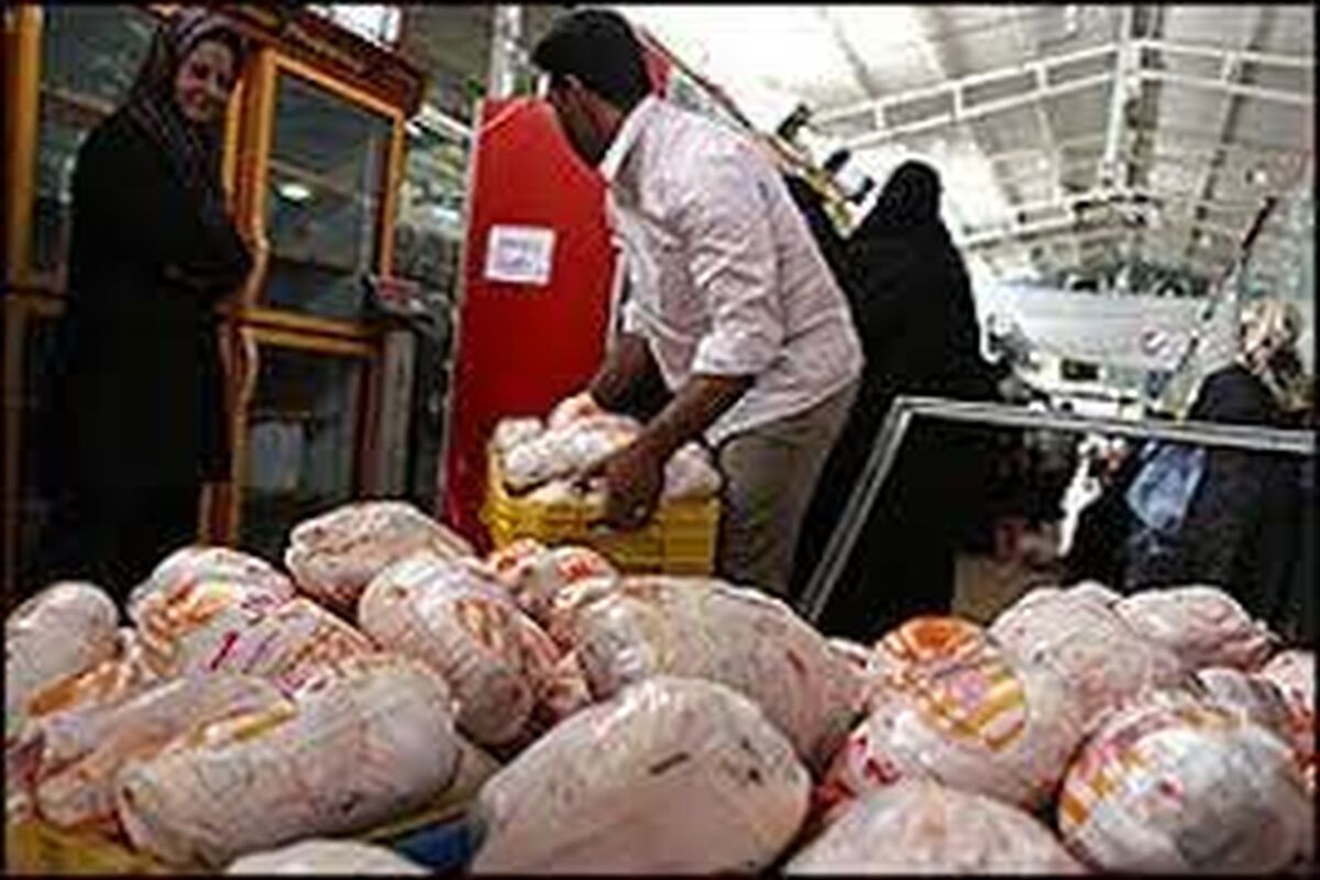 مرغ کیلویی ۷۳ هزار تومان شد