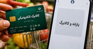 کالابرگ الکترونیکی چه افرادی تعلیق می‌شود؟