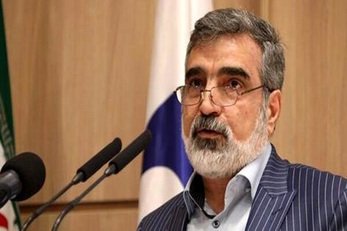 سخنگوی سازمان انرژی اتمی: تعهدات برجام قابل بازگشت است