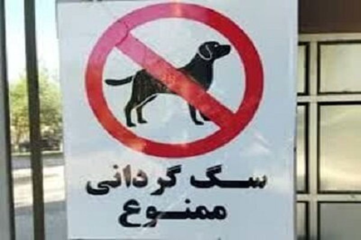 پلمب مهد سگ در تبریز