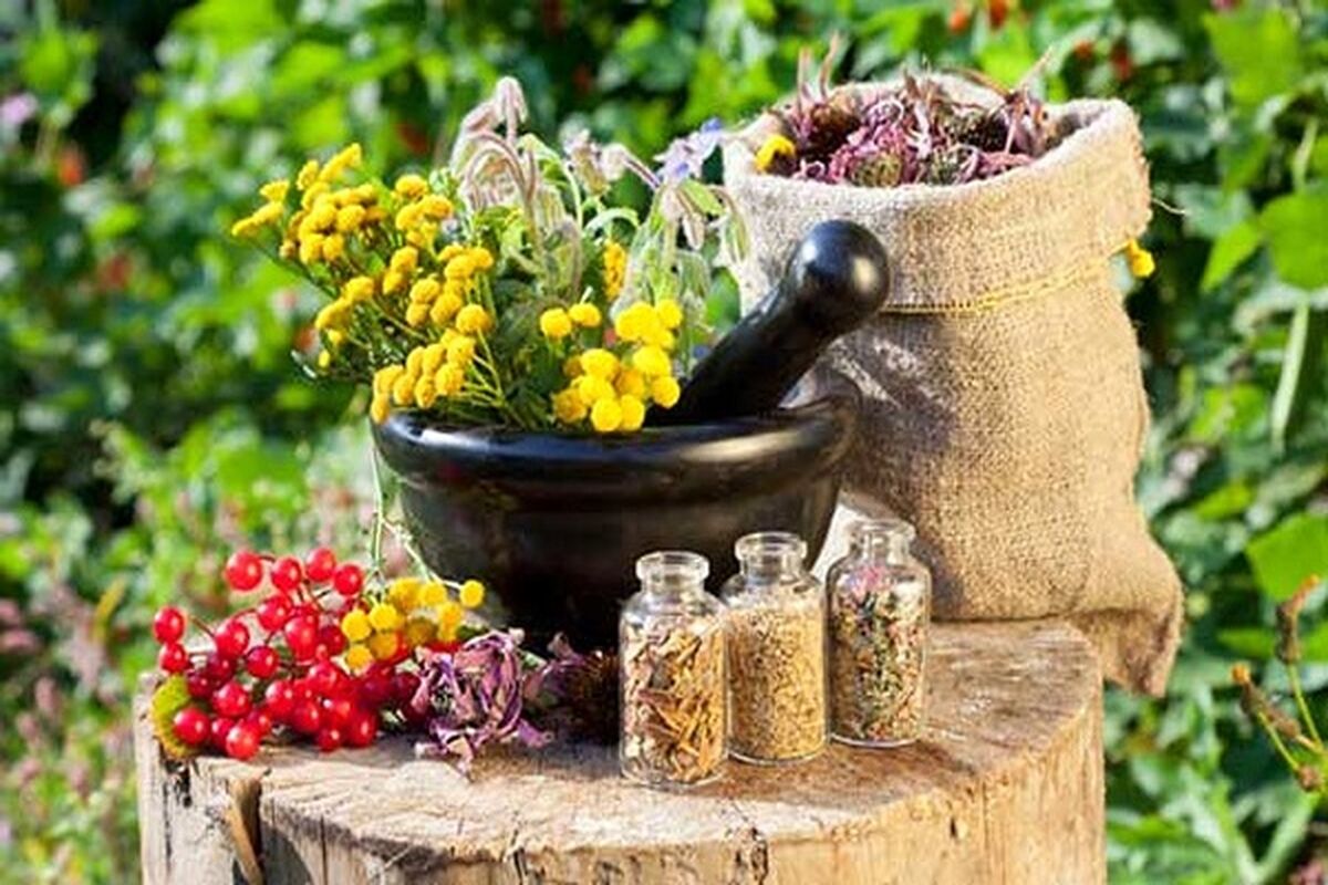 فواید گیاه یشم برای بیماری پارکینسون