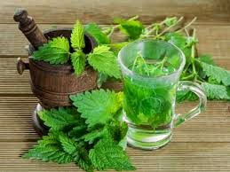 خوردن عرق نعناع برای این افراد ممنوع است!