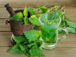خوردن عرق نعناع برای این افراد ممنوع است!